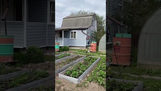 Продается кирпичная дача на участке 7,5 соток в СНТ Солнечный город Александров#shorts