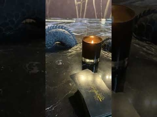 Причина пожара у Марины Хлебниковой