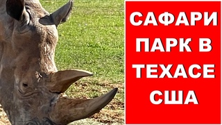 Дикая природа Сафари Парк в Техасе Safari Park Texas USA Fossil Rim WildLife Center В мире животных