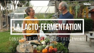 Comment raliser une lacto-fermentation facilement