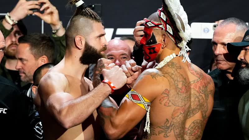 UFC 295: Final