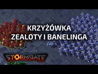 Krzyowka Zealoty i Banelinga StormGate