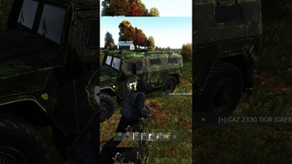 Умные мысли преследовали его, но он был быстрее | DayZ