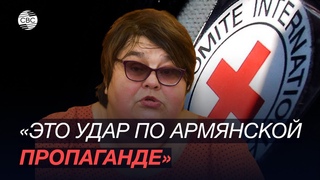 Нужна масштабная проверка Красного Креста в Азербайджане  политолог Татьяна Полоскова