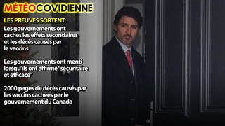 MÉTÉO COVIDIENNE 21/11/2023 - LES PREUVES SORTENT: LES GOUVERNEMENTS ONT MENTI