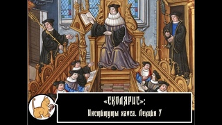 Сколярис: Институты хаоса. Лекция №7