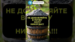 Поговорим о правильном внесении золы в почву #дачныесоветы #сад #огород #зола #подкормки #дача