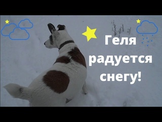 Геля радуется снегу!