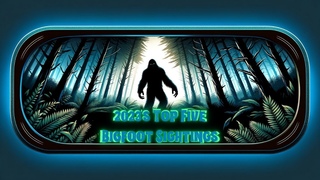 Top 5 Bigfoot Sightings of 2023: Unveiling the Mysteries | Digital Whispers