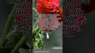 #модар #фарзанд #падар #зиндаги фарзанди гариб