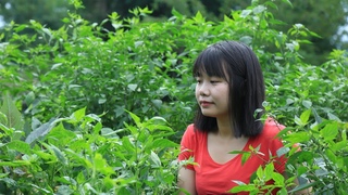 【二米炊煙】摘點辣椒，做成醬辣椒，你們有吃過嗎？