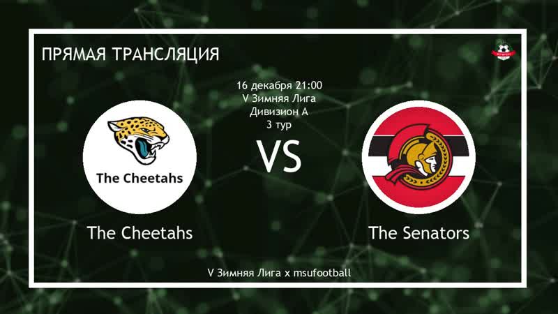V Зимняя Лига, The Cheetahs The
