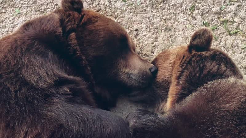 Togetherness makes life