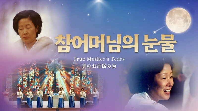 참어머님의 눈물 크리에이트 아젤리아 TC 155