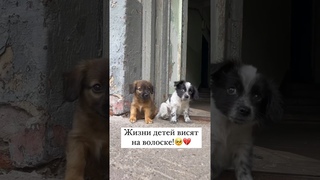 Дети родились ненужными