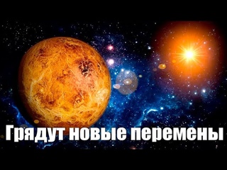 Антара Венеры #Эра Возрождения