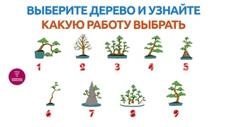 Бизнесмен, педагог или актер Пройдите психологический тест и найдите свою профессию. Тест Психология