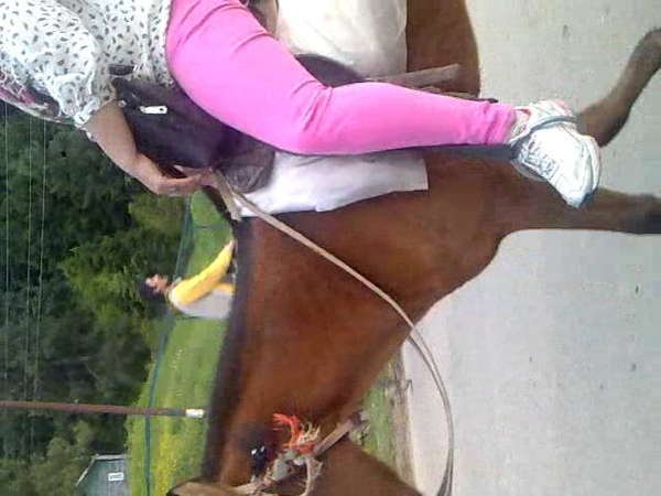 horse ride