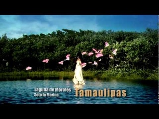 TAMAULIPAS Estrellas del Bicentenario Televisa 2