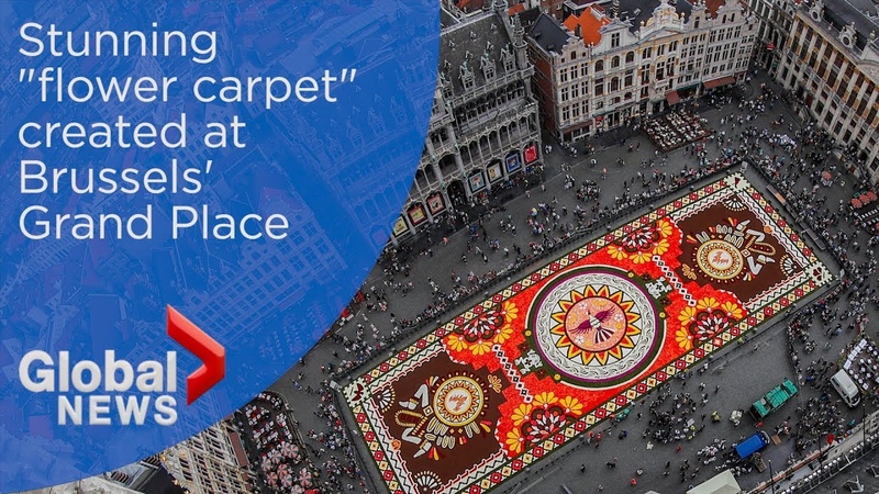 Massive flower carpet blossoms in Brussels iconic Grand