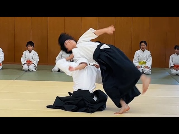 Dynamic and beautiful Aikido by Aikido