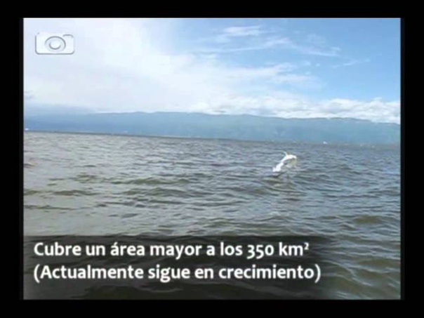LAGO ENRIQUILLO ( Gigante del