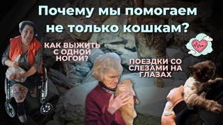 Волонтеры в Лисичанске Помогаем людям, кошкам и собакам