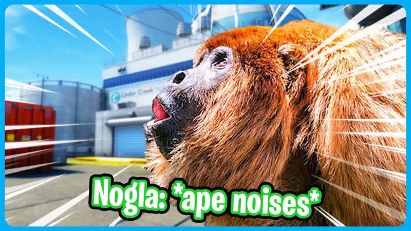 counter strike ape