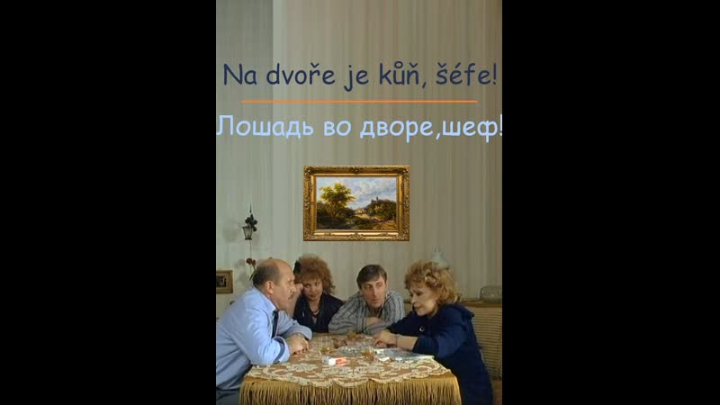 Лошадь во дворе, шеф (1989) Na dvoře je kůň,