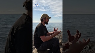 Сколько у вас персон в древе Чем больше тем лучше В разговоре с @genBANG Ссылка на экране #mykin