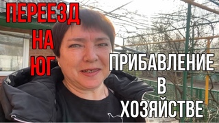 -Посадили картошку/Ути-ути-ути/#купилидомнаюге