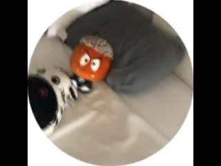Vdeo de vika waityy
