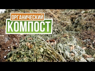 Органический ускоритель компостирования