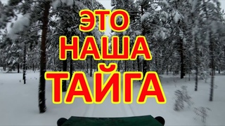 Руки прочь от Шиеса!!!