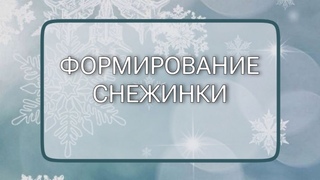 ФОРМИРОВАНИЕ СНЕЖИНКИ