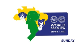 WDS 2022 BRASIL - SUNDAY