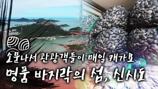 바다전체가 바지락인 군산 신시도 #바지락 요리 #농어 #신시도 여행