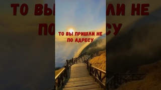 В этом мире вы никогда не обрётете счастья... #ислам #вера #коран
