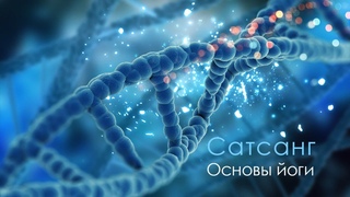 Сатсанг  - Основы йоги. Продолжение, часть 3