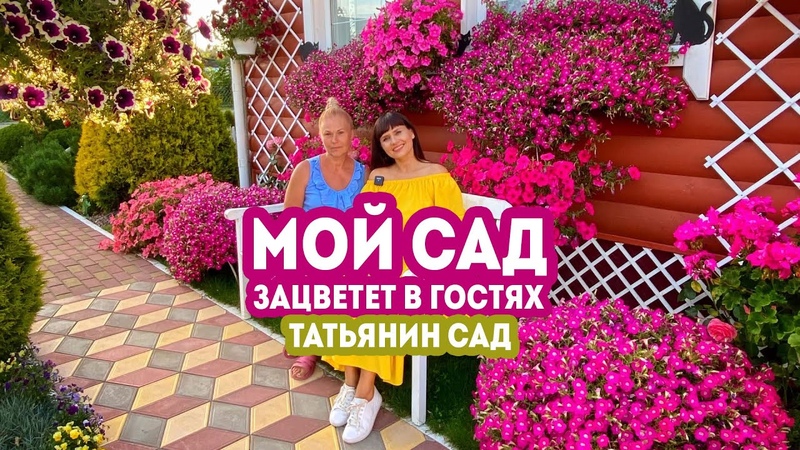 Мой сад. Зацветет в гостях. Татьянин Сад