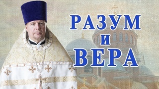 Разум и вера. Проповедь священника Димитрия Лушникова 12 декабря 2020.