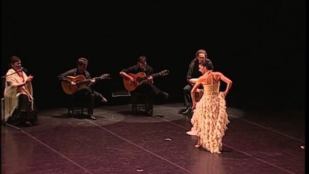 CASTRO ROMERO FLAMENCO FLAMENCO X