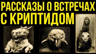 ✅Сборник рассказов охотников и учёных, о странных существах.
