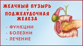 Как растворить КАМНИ в Желчном Пузыре без операции! Желчный Пузырь и Поджелудочная Железа! ЗОЖ.