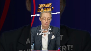 Requiem auf die Ampel #shorts #viral #shortsvideo #afd #weidel #trending #wahl #Politik #tiktok