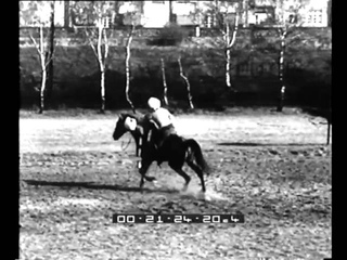Esibizione dei cosacchi del Kuban, cavalieri acrobati.
