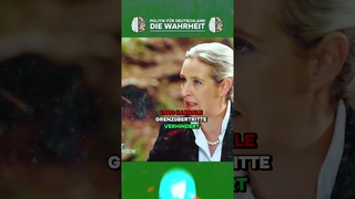 Alice Weidel Zerstrt ZDF Journalist nach Propaganda Frage  #afd #politik #shorts #afdaktuell