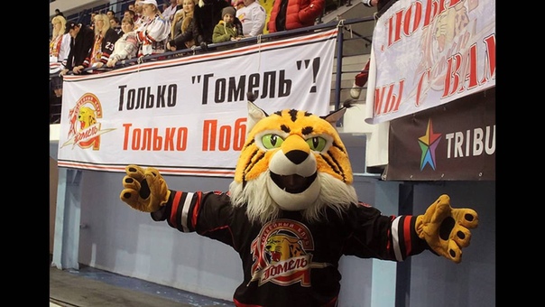 HCGOMEL