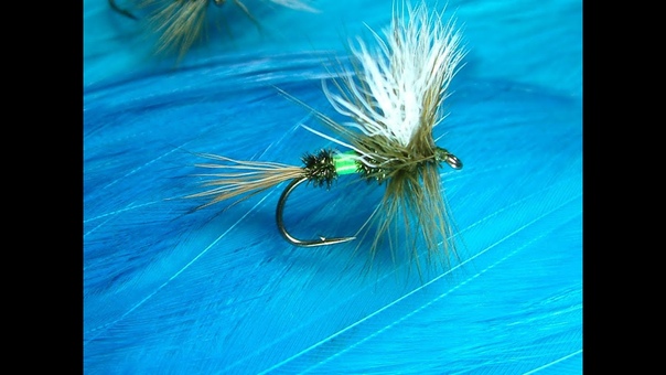 Tying the Green Royal Coachman by Davie Mc