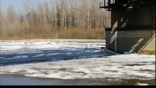 Лёд тронулся